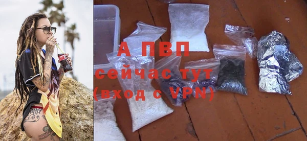 крисы Алексин
